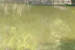 IMG-20240511-WA0055