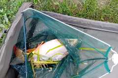 IMG-20240617-WA0003